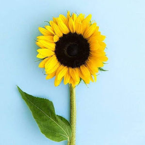 Meet your Posher, Lydia